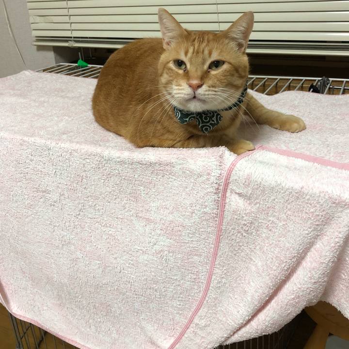 1110aa87 38f9 412d 9caf 721c435a93f2 1578433332788