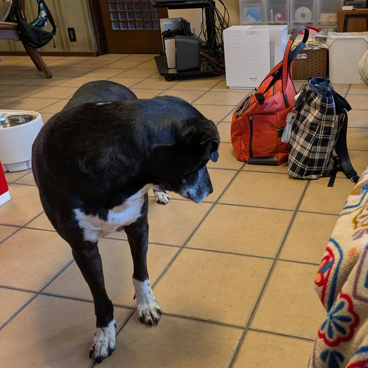 1110b26d e7e9 408b a169 e2ff30ec1c97 1734132479601