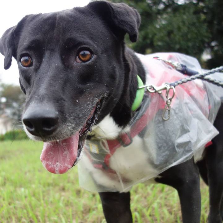 1110be8a be66 43d2 a2d4 908c9ff4e2a3 1631923188912