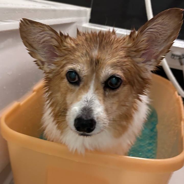 1110de13 ec02 4e09 8e9d c24ef7008c5b 1758709556586