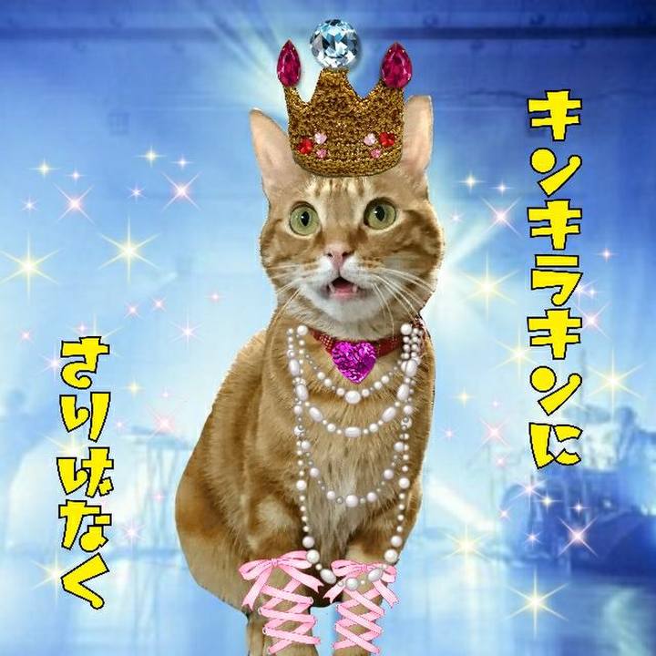 1110ef6c 1c6d 499a b645 2a3c88185492 1551180258905