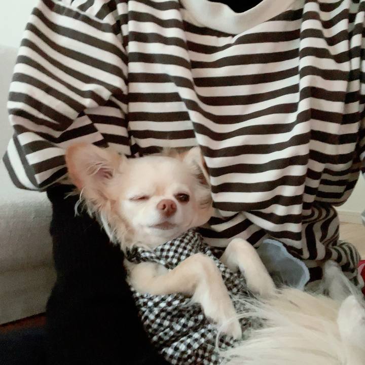 1111139e b298 4cde a4b0 3156bac4b139 1710751482484