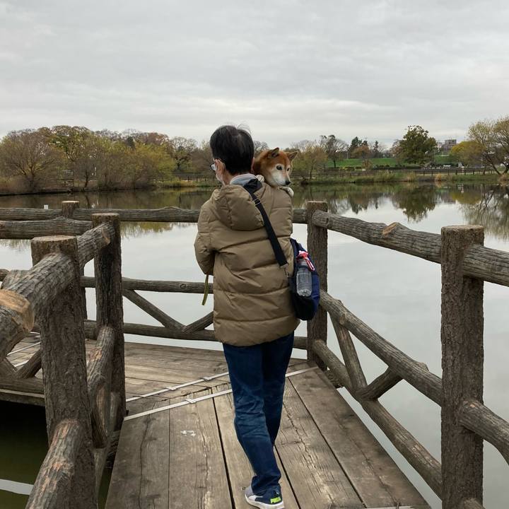 1111216f ee3c 4af2 95af 32d391a161c5 1670210688595