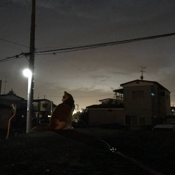 11114715 e823 4afc 9c89 32dfd848714a 1508935132167