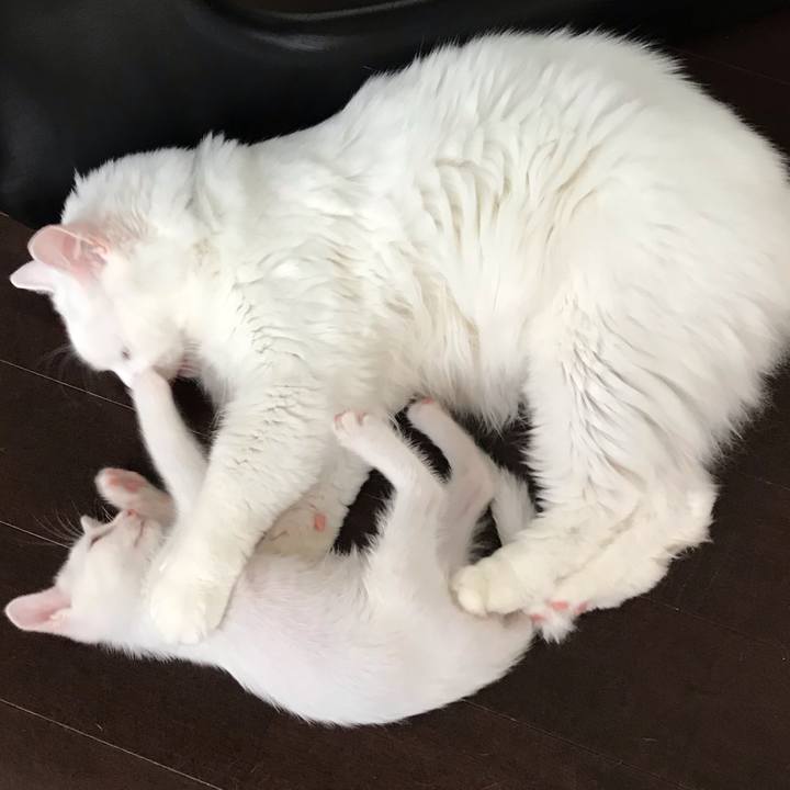 111187f4 8212 4358 98dc 027f64f3b841 1564659990797