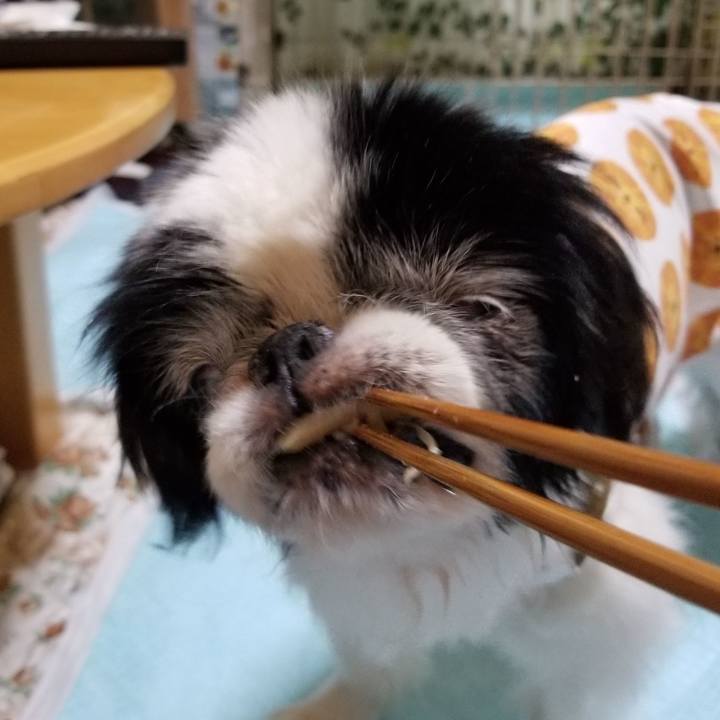 111188e6 73ca 472a 8a5e 54163961640e 1629896725154