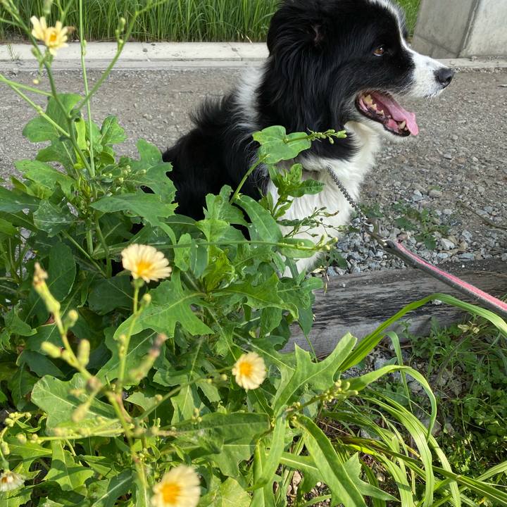 11118ece ffde 4ede a546 d453b9a5932a 1722161497491