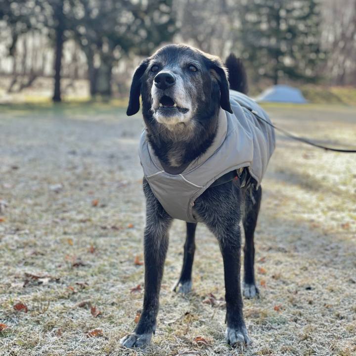 1111ddaa e044 4637 8216 035258c89ebf 1764644539918