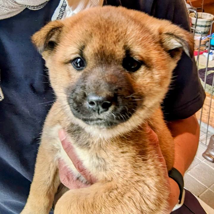 11122200 f63a 40a7 b39d 3168197d3ee9 1773554857658