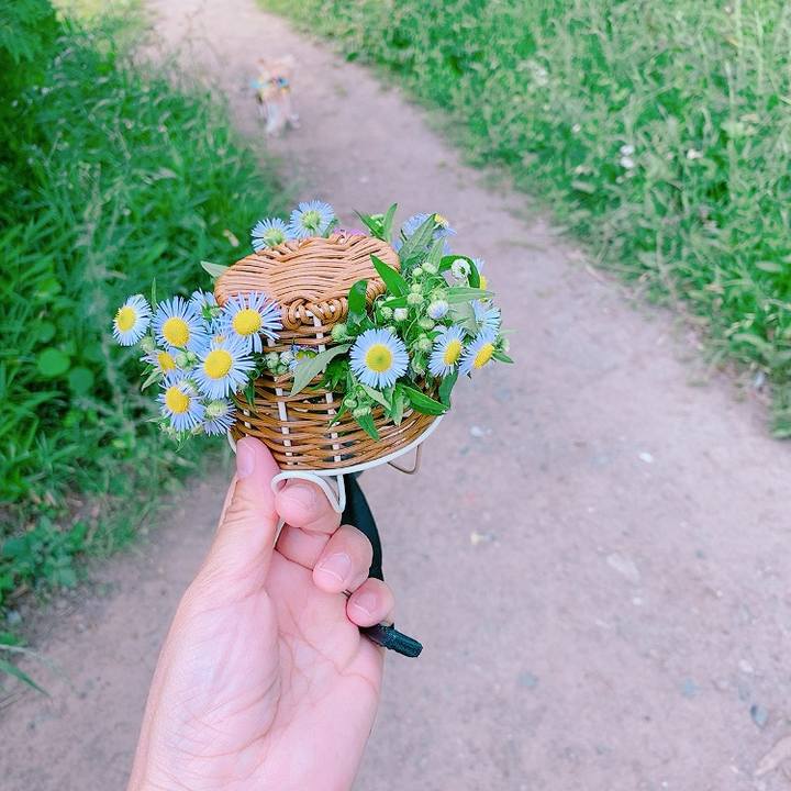 11124597 1034 4603 b10d 516787ca7c23 1621943725526