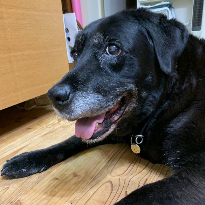 11125064 e5eb 4dc9 9b27 a3a6b6620c95 1630615365963