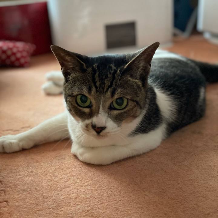 11126355 d9f1 4bc8 9e1a bc6ed811c809 1658025920764