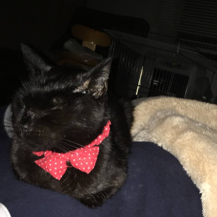 11126573 6564 460e 90a7 82546e536f04 1553025395679