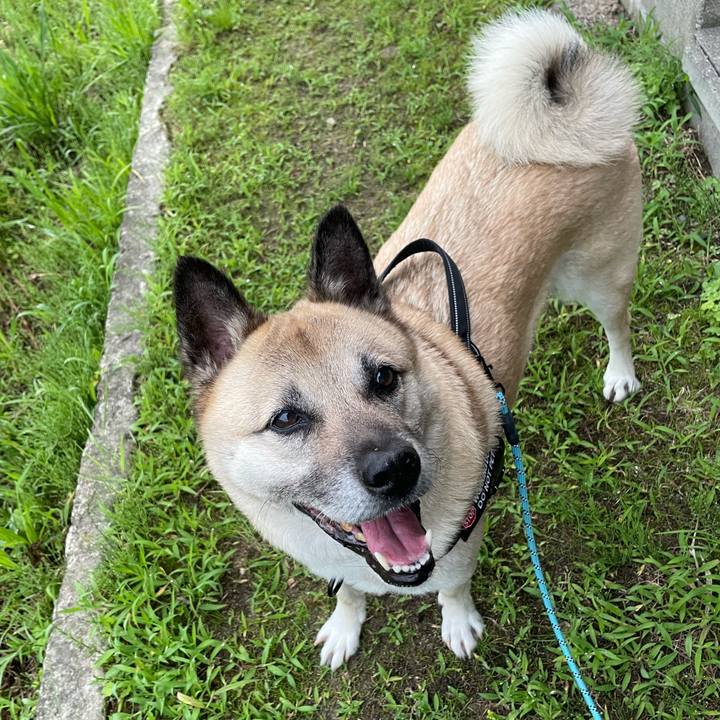 1112a288 3c04 4b75 9aff 390912771a72 1718193026599