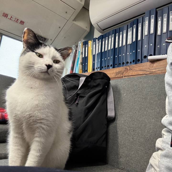 1112a869 35a3 4a02 a3f9 53826ba4a321 1760159154704