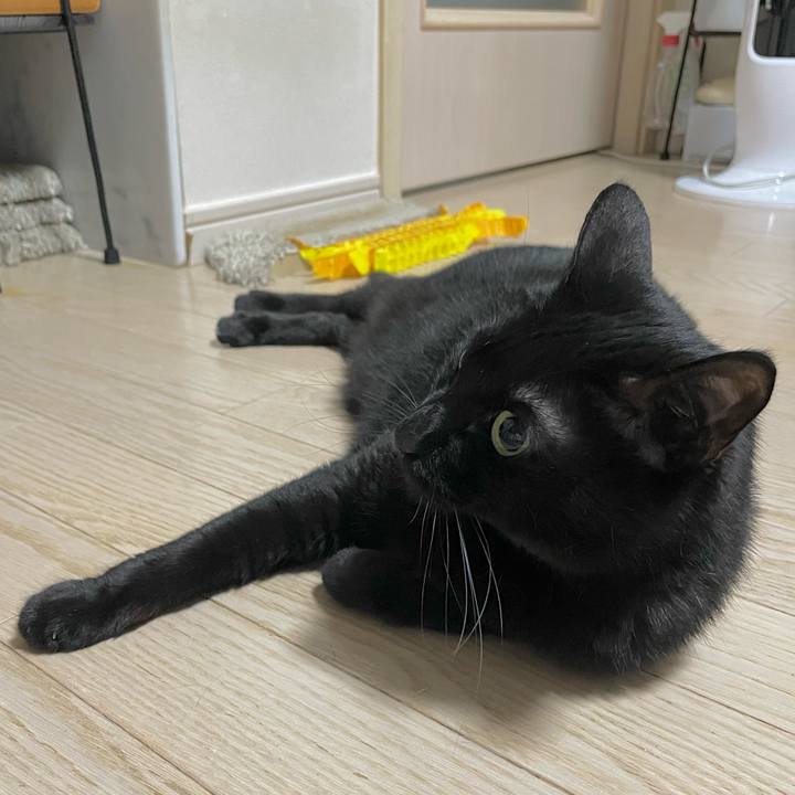 1112dc4a 41c6 4d77 8c65 0821e0f088a0 1717244531543