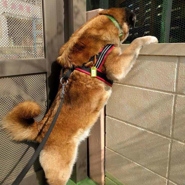 1112e2ee 9a6c 4b81 ae2e 12cd70004953 1522799768541