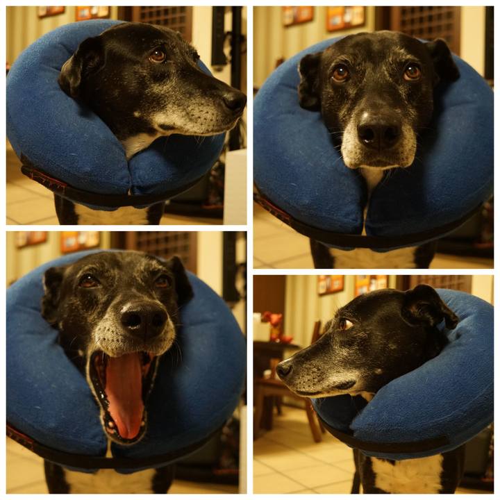 111307d3 0a1a 41dc 8fd2 4aa9ed74ae20 1768568568865