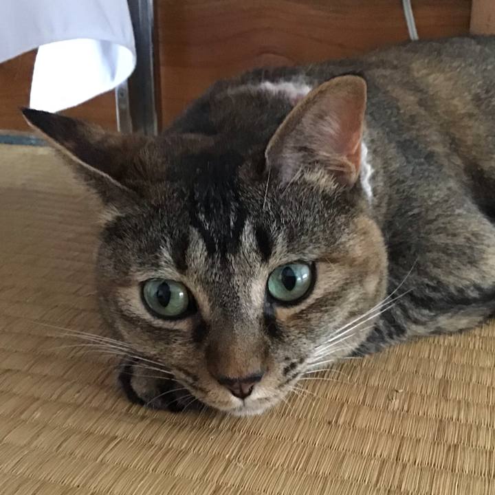 1113128e 6b3a 437c 857f 69559dcf6021 1657626730682