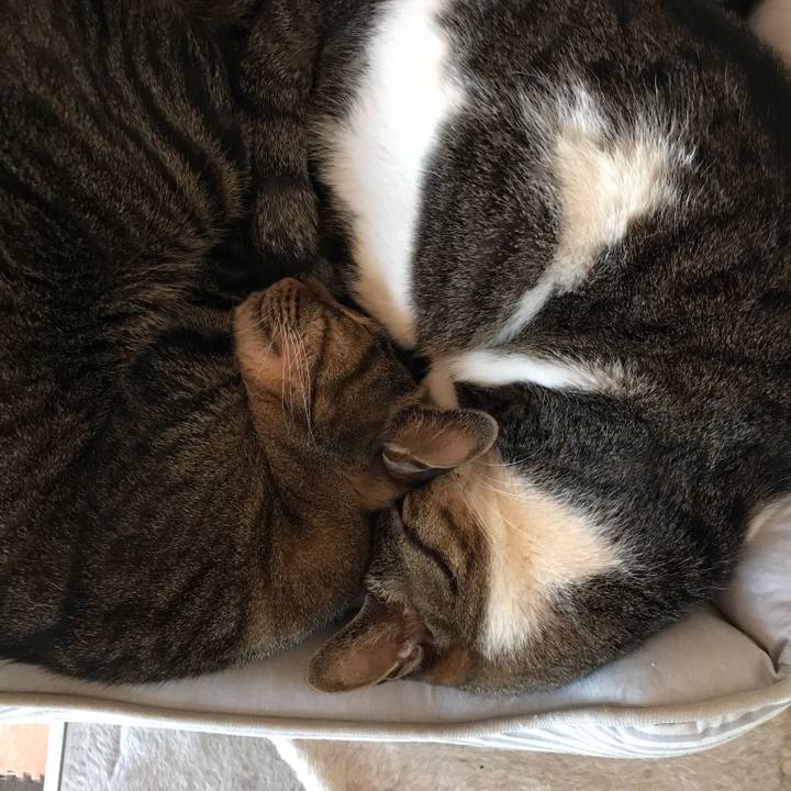 11137b16 6ad8 4c70 b147 796717e3c05f 1536192021840