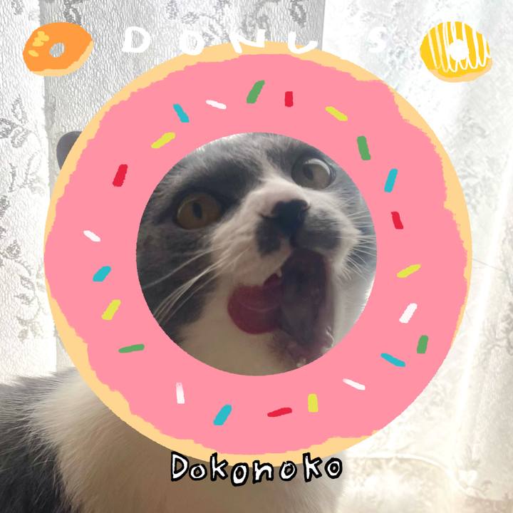 11139849 c5d1 44c6 8e0e effca769b75e 1744286751523