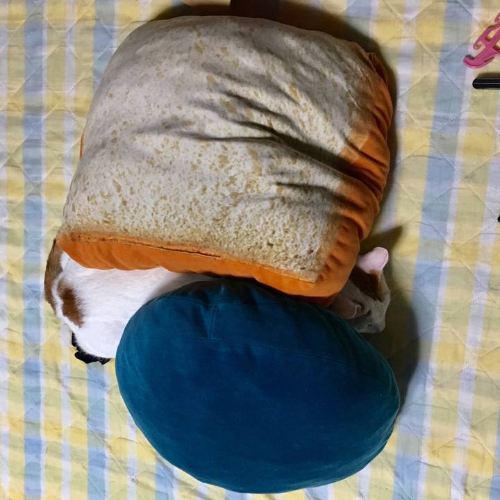 11139fbe 964a 4c31 bfcc dca499998b9e 1538661386589