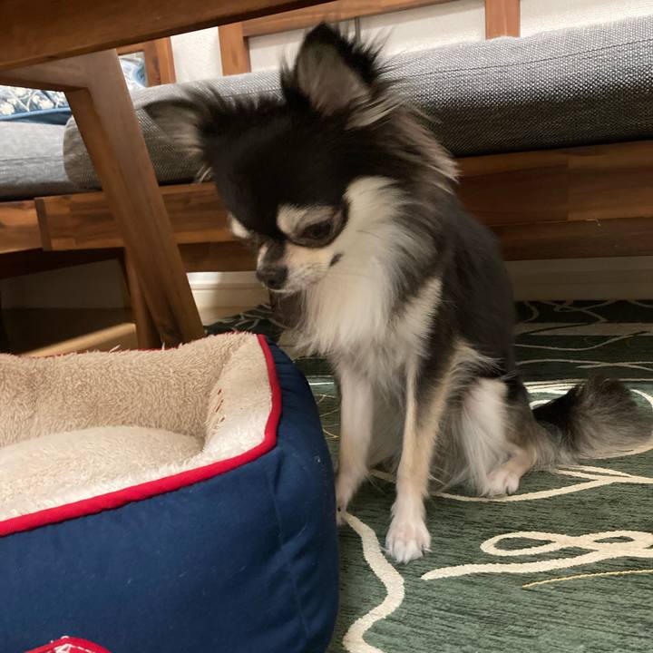 1113d7d3 6bdd 4ccc 8911 71edd4c3f1d4 1636900390085