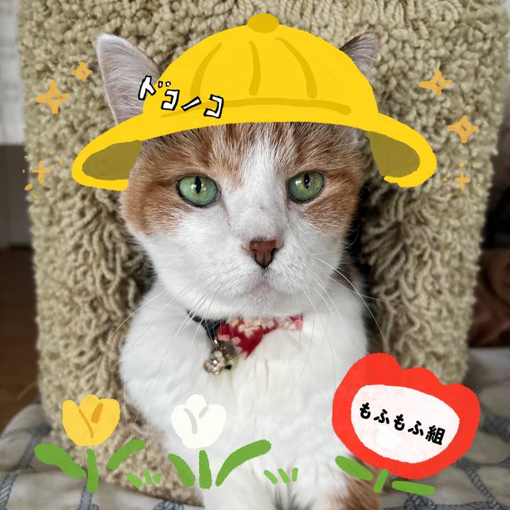 11145b98 f31a 4699 8f99 81451bcfdff5 1712391055954