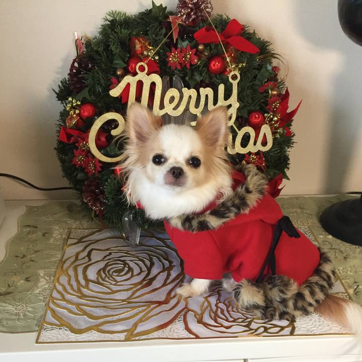 1114b93f 61b6 4777 b3a6 550ca2875fed 1542432621445