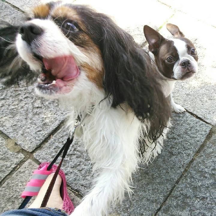 1114bd6f 3ec1 463f b2a4 6561a8d05d49 1521725247115