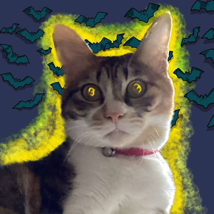 1114e55a 9f29 4657 90fa a9da5c1362c2 1698652308649