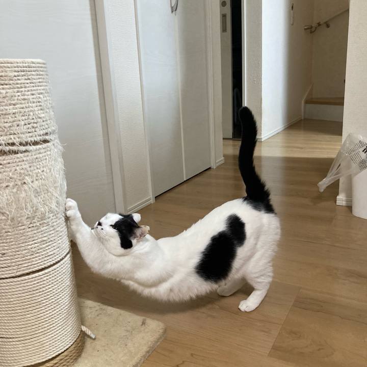 1114fda1 f4ba 4a5a a0ab 763cf12d11ea 1766090071270