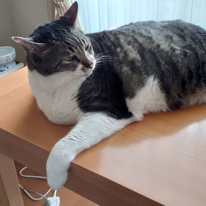 11150fe5 86f5 47aa a94e e032d1d171cb 1668139210157