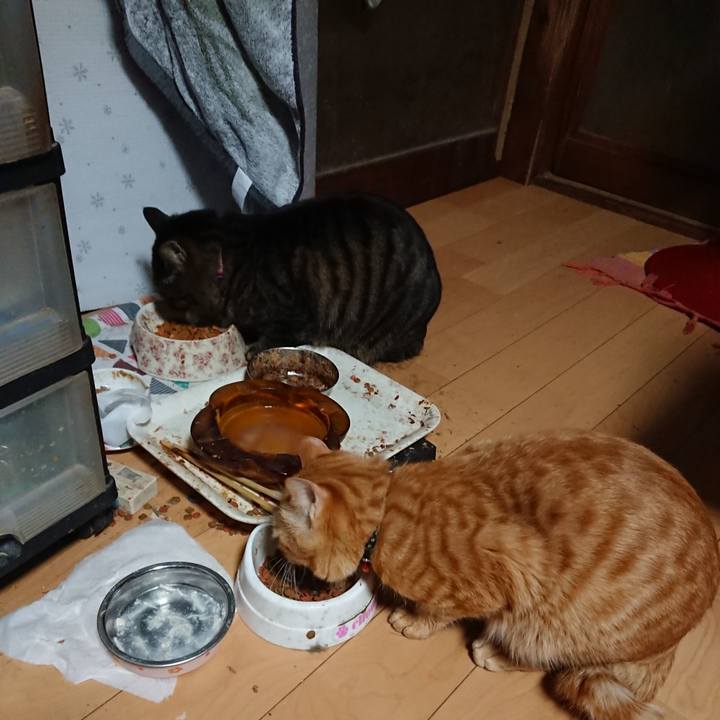 11156e01 d2ff 4187 87ab ce048dc85337 1644441671513