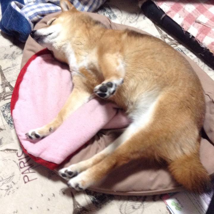 1115857d 3fba 4bb4 a36e a2d2d8fc7c82 1522330957879