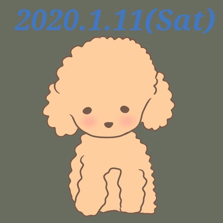 11158988 9cc5 4a04 8792 960e501d41cb 1578727881200
