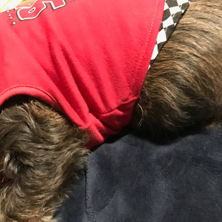 11158b8b b27e 4d6d 9da3 3291b6542625 1556552884181