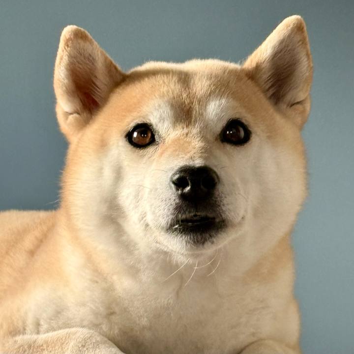 11158d81 0863 4d15 a80a 96ab2184cc7e 1778382865015