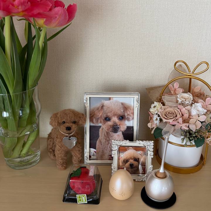 1115b239 b2c5 4f0e aae8 a56fcf58974a 1774146348533