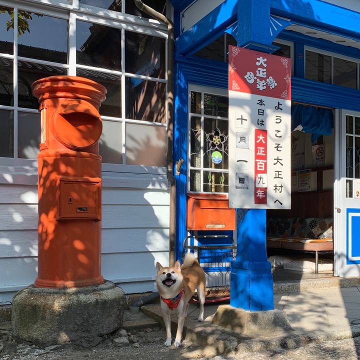 1115b3d1 cbf8 4fd1 a8a6 4cabf3e48b72 1601541101532