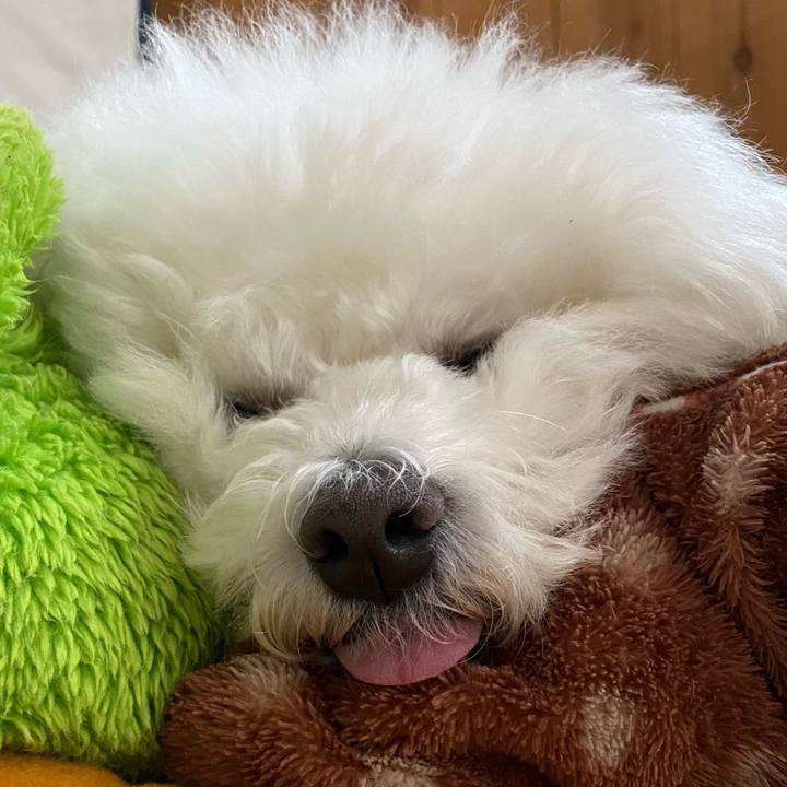 1115d76d f745 4b57 ad4d 079e0fde6546 1617607991400