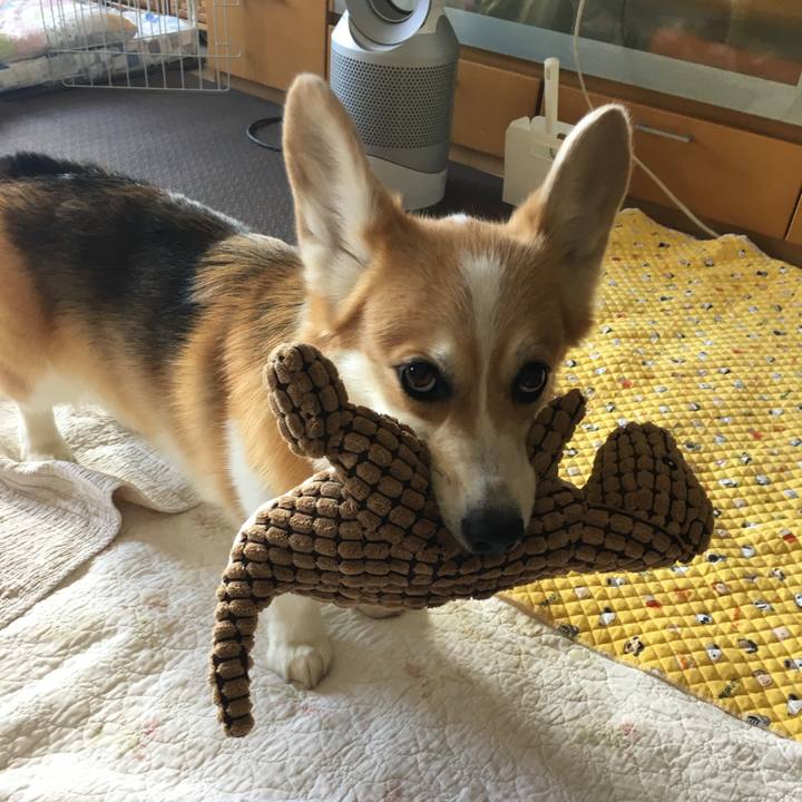 11160d3c 1983 4bb7 8948 53de28164304 1764733196703