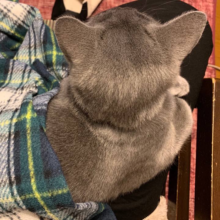 111626e1 f7a2 4d8f b4ec 298cff7dbf6e 1575409279209