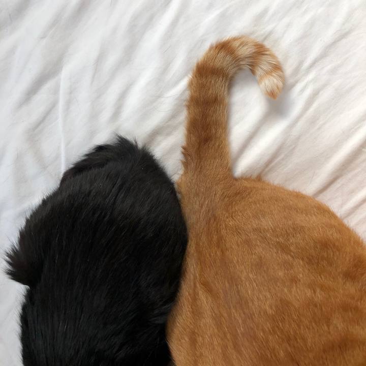 11163ba8 01f1 4888 95d2 562a0b6f6a78 1562276596916