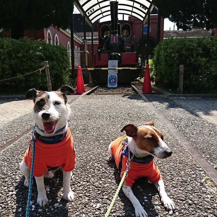 1116a0d7 6c47 4d93 95aa 518779fa8597 1585973037041