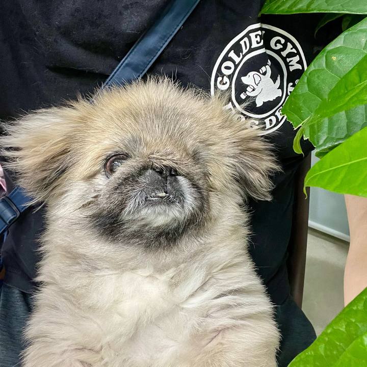 1116d645 6a18 4c22 8b75 1847d6add3c7 1750286690673