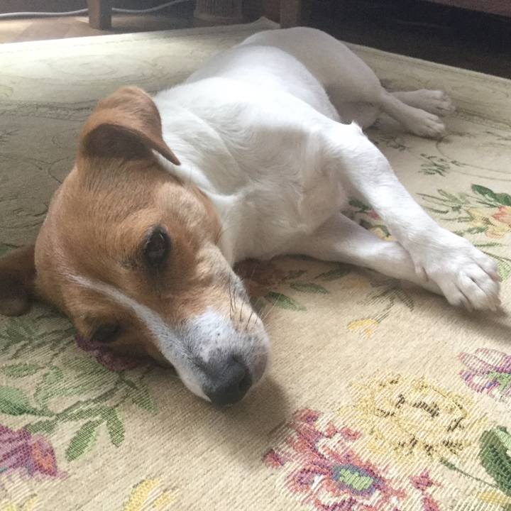 11173b84 5542 41ad 8f75 e7249180eddf 1528876153970