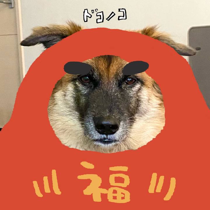 111770d6 86b7 4364 9741 637550a253e9 1772330776550