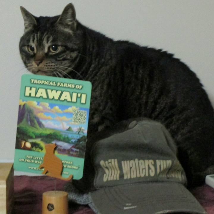 1117bb86 246b 416d 8453 ea7aeb0ba9e8 1518130337025