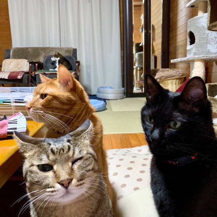 1117f231 5cf6 46c3 8d03 c0988bc0ba5e 1568633781438